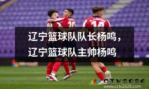 辽宁篮球队队长杨鸣，辽宁篮球队主帅杨鸣