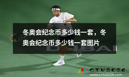 冬奥会纪念币多少钱一套，冬奥会纪念币多少钱一套图片