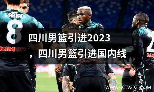 四川男篮引进2023，四川男篮引进国内线