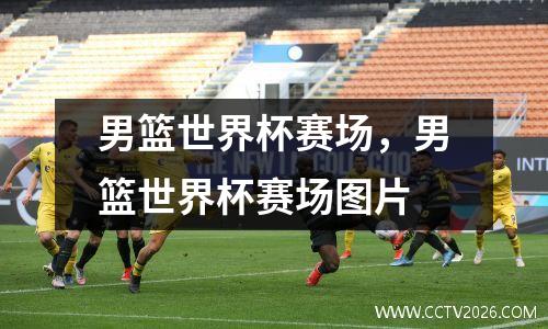 男篮世界杯赛场，男篮世界杯赛场图片
