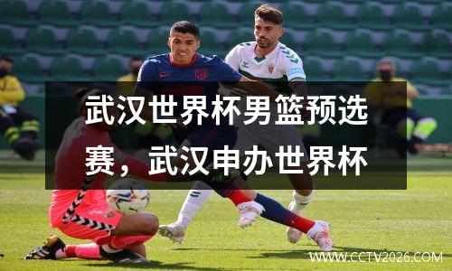 武汉世界杯男篮预选赛，武汉申办世界杯