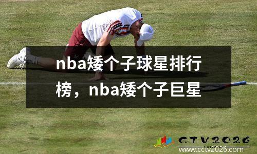 nba矮个子球星排行榜，nba矮个子巨星
