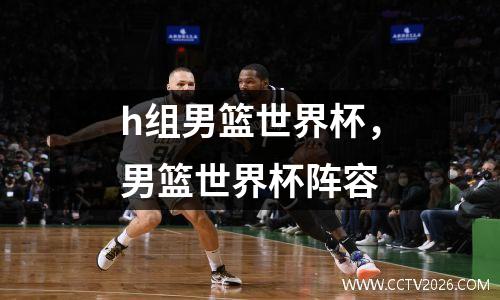 h组男篮世界杯，男篮世界杯阵容