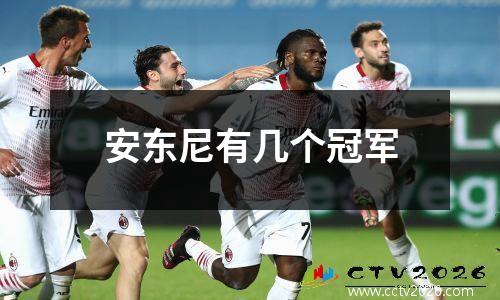 安东尼有几个冠军