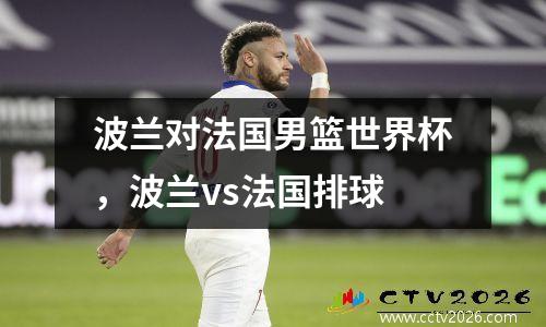 波兰对法国男篮世界杯，波兰vs法国排球
