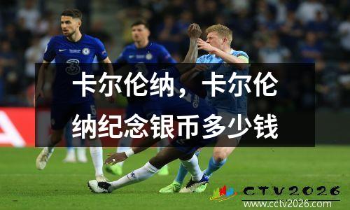 卡尔伦纳，卡尔伦纳纪念银币多少钱