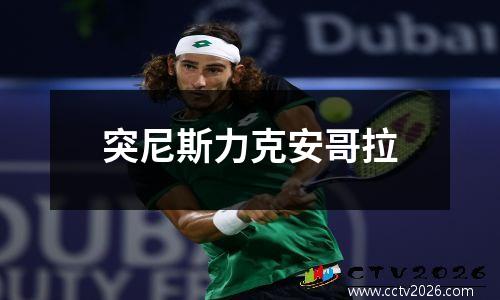 突尼斯力克安哥拉