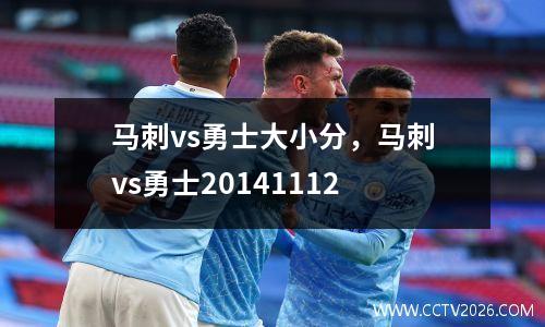 马刺vs勇士大小分，马刺vs勇士20141112