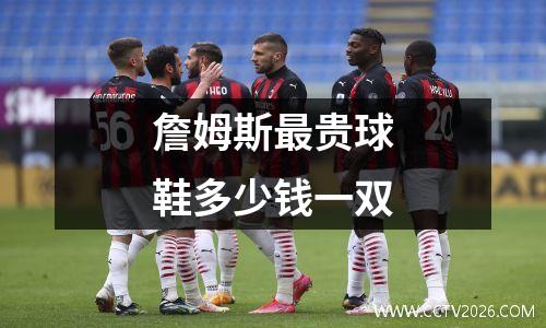 詹姆斯最贵球鞋多少钱一双