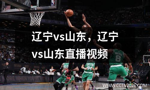 辽宁vs山东，辽宁vs山东直播视频