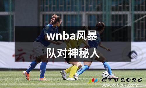 wnba风暴队对神秘人