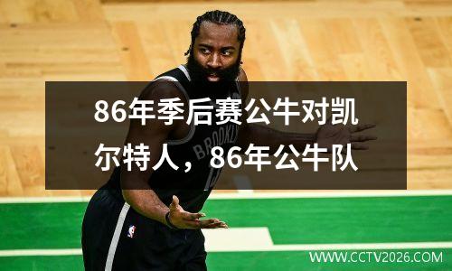 86年季后赛公牛对凯尔特人，86年公牛队