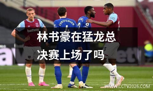 林书豪在猛龙总决赛上场了吗