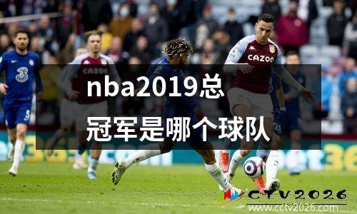 nba2019总冠军是哪个球队