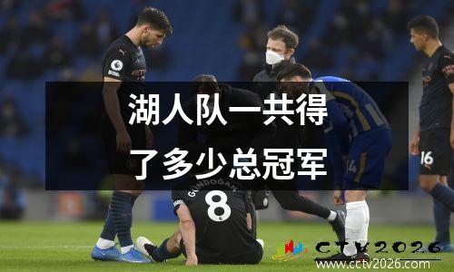 湖人队一共得了多少总冠军