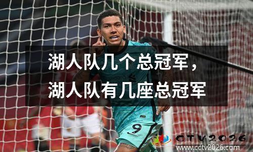 湖人队几个总冠军，湖人队有几座总冠军