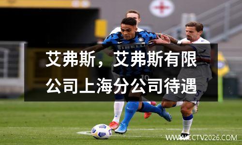 艾弗斯，艾弗斯有限公司上海分公司待遇