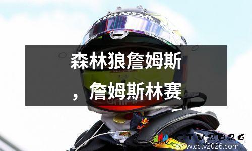 森林狼詹姆斯，詹姆斯林赛