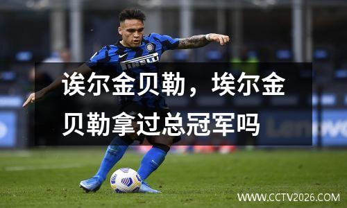 诶尔金贝勒，埃尔金贝勒拿过总冠军吗