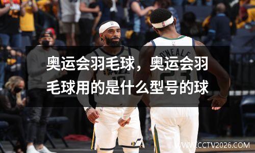 奥运会羽毛球，奥运会羽毛球用的是什么型号的球