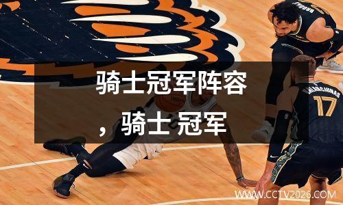 骑士冠军阵容，骑士 冠军