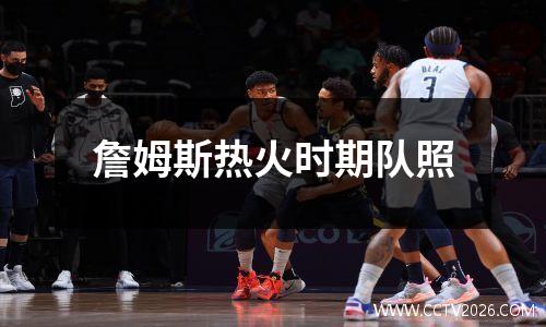 詹姆斯热火时期队照