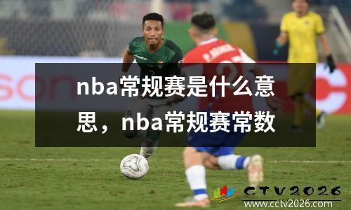 nba常规赛是什么意思，nba常规赛常数