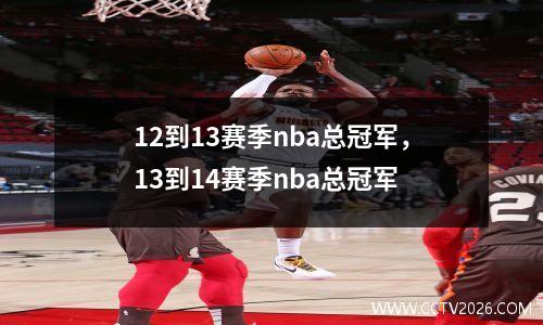 12到13赛季nba总冠军，13到14赛季nba总冠军
