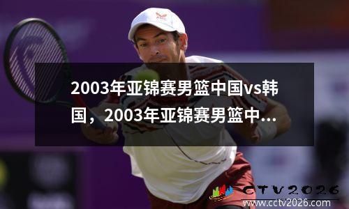 2003年亚锦赛男篮中国vs韩国，2003年亚锦赛男篮中国vs韩国总结