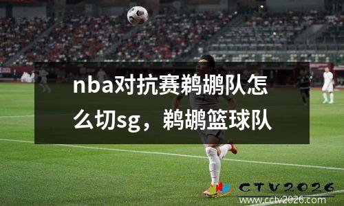 nba对抗赛鹈鹕队怎么切sg，鹈鹕篮球队