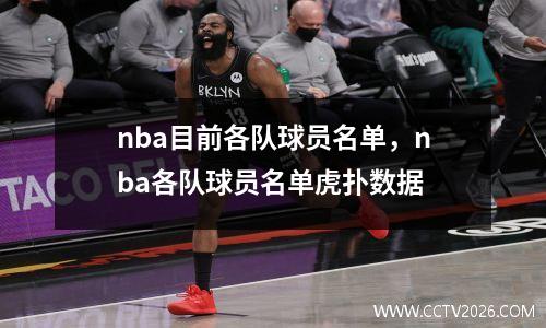 nba目前各队球员名单，nba各队球员名单虎扑数据