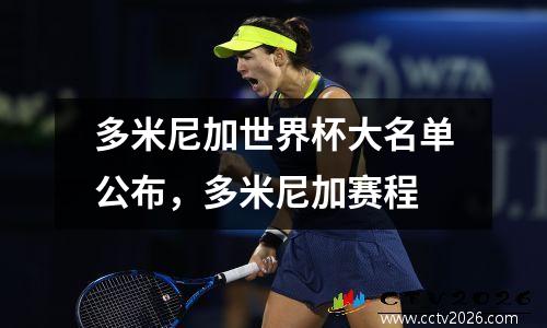 多米尼加世界杯大名单公布，多米尼加赛程