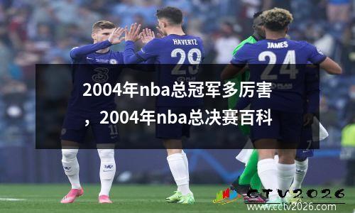 2004年nba总冠军多厉害，2004年nba总决赛百科