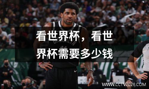 看世界杯，看世界杯需要多少钱
