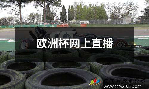 欧洲杯网上直播