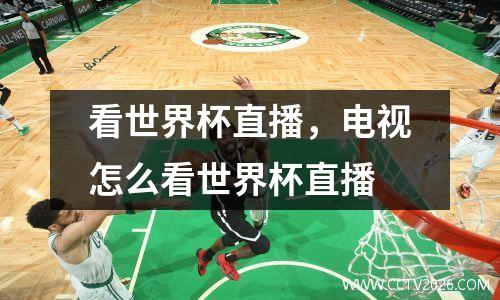 看世界杯直播，电视怎么看世界杯直播
