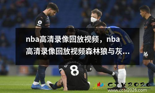 nba高清录像回放视频，nba高清录像回放视频森林狼与灰熊G1