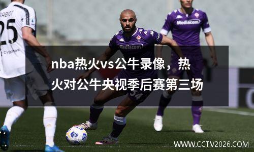 nba热火vs公牛录像，热火对公牛央视季后赛第三场