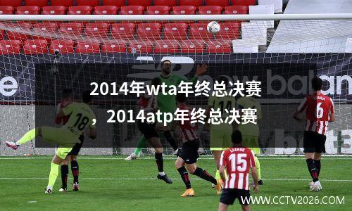 2014年wta年终总决赛，2014atp年终总决赛