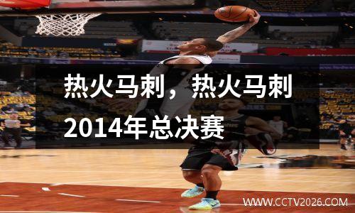 热火马刺，热火马刺2014年总决赛