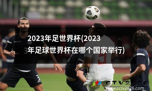 2023年足世界杯(2023年足球世界杯在哪个国家举行)