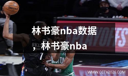 林书豪nba数据，林书豪nba