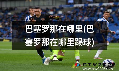 巴塞罗那在哪里(巴塞罗那在哪里踢球)
