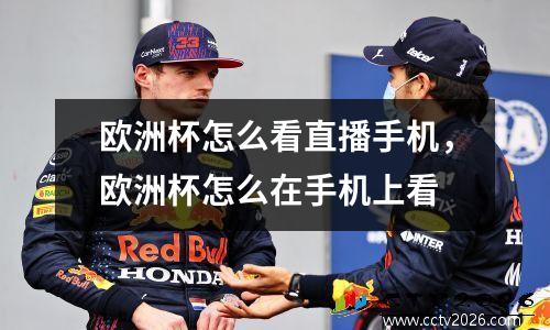 欧洲杯怎么看直播手机，欧洲杯怎么在手机上看