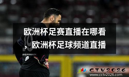欧洲杯足赛直播在哪看，欧洲杯足球频道直播