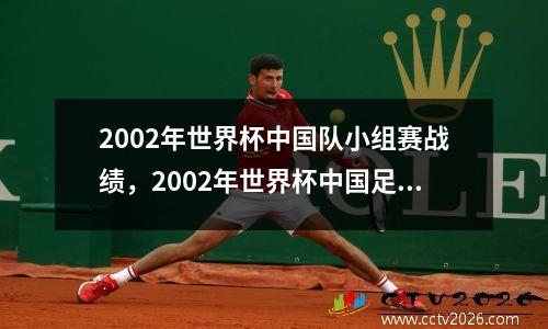 2002年世界杯中国队小组赛战绩，2002年世界杯中国足球队战绩