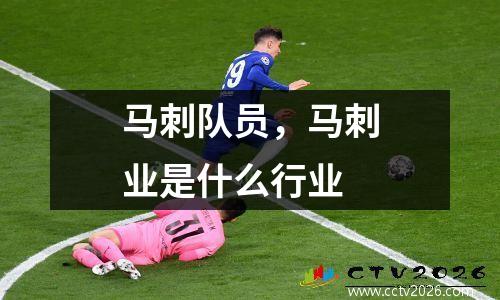 马刺队员，马刺业是什么行业