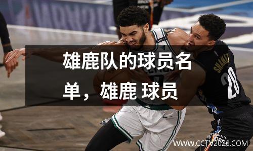 雄鹿队的球员名单，雄鹿 球员