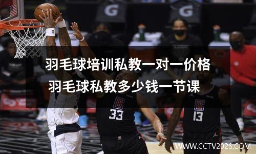 羽毛球培训私教一对一价格 羽毛球私教多少钱一节课