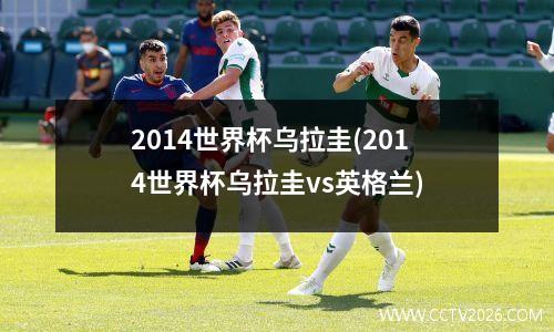 2014世界杯乌拉圭(2014世界杯乌拉圭vs英格兰)